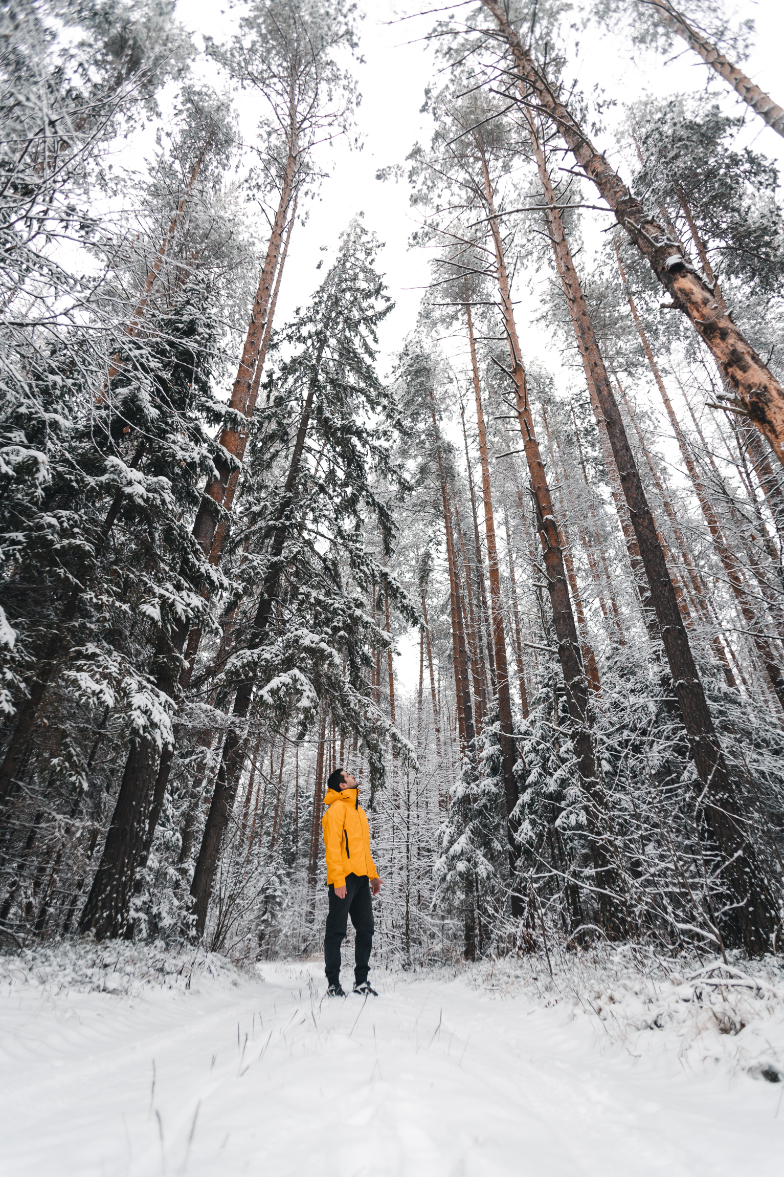 Winter in the Ivanovo region - My, Canon, Ivanovo region, Winter, Snow, Forest, The photo, Travel across Russia, Longpost