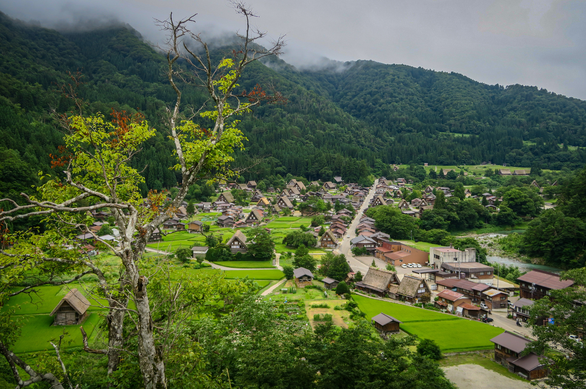 День девятый. Префектура Gifu. Сказка в Gujo.Часть 1 - Моё, Япония, Велосипедист, Путешествия, Длиннопост