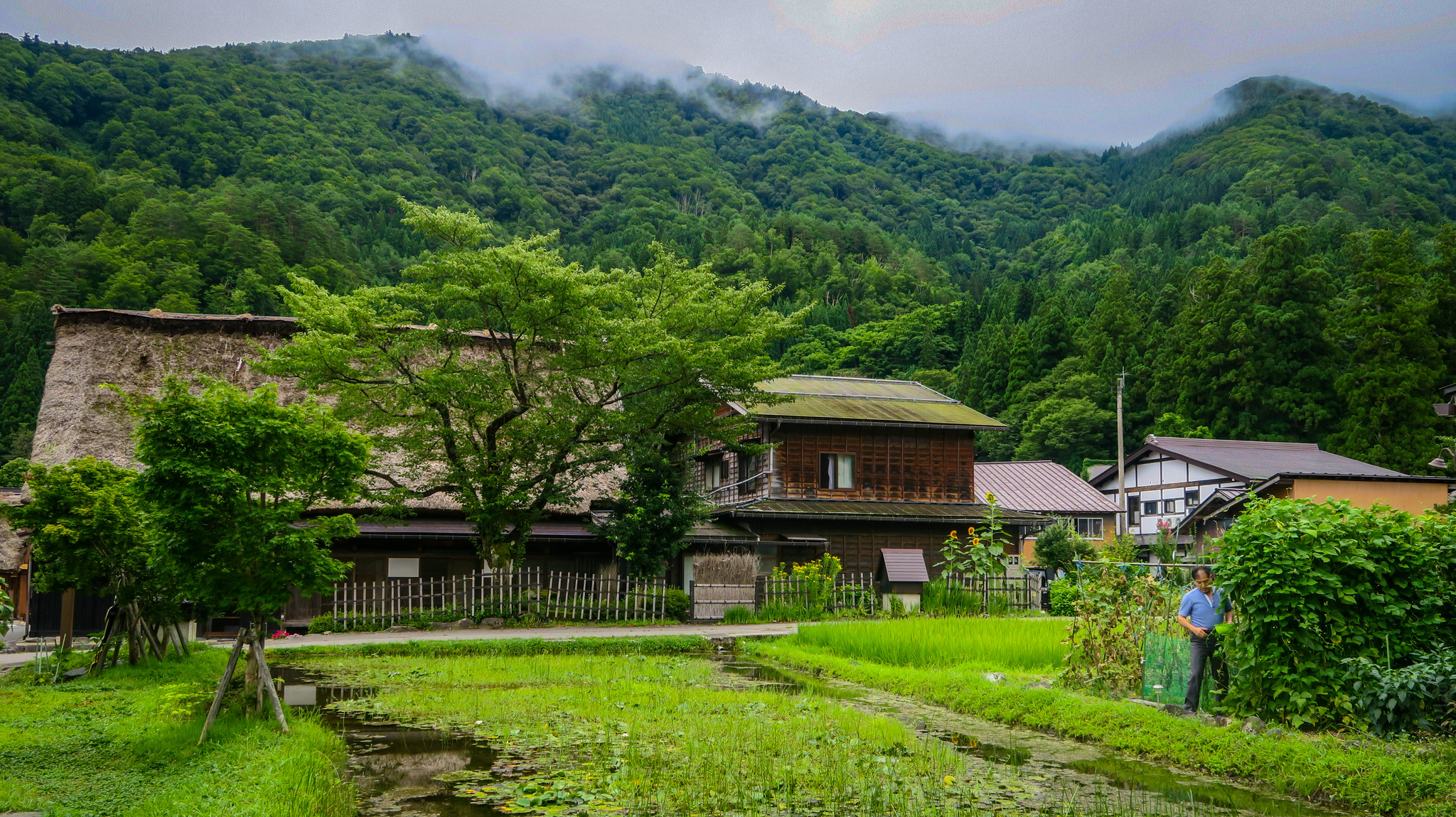 День девятый. Префектура Gifu. Сказка в Gujo.Часть 1 - Моё, Япония, Велосипедист, Путешествия, Длиннопост