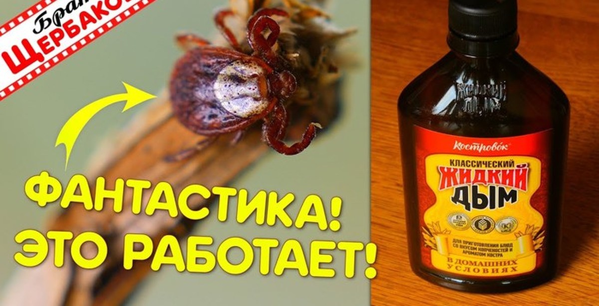 Китайская курильница для благовоний. Маска слоя с дымом. Дымовая шашка военная рдг-2б. Состав жидкого дыма для копчения. Жидкий дым.