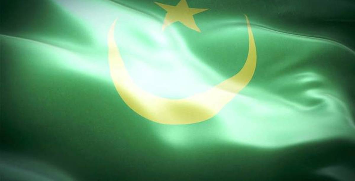Форма флага мавритании. Флаг Мавритании. Флаг Mauritania. Флаг Мавритании до 2017. Флаг Мавритании 2022.