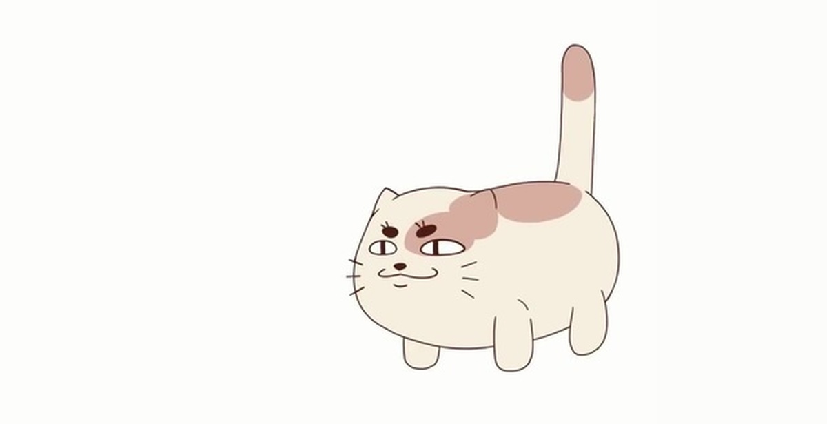 Dancing cat meme. Танцующий котик gif. Кошка гифка. Кот танцует gif. Гифка танцующего котика.