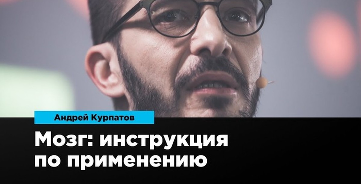 Мозг: инструкция по применению | Пикабу