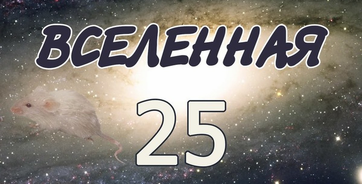 Вселенная 25. Эксперимент Вселенная 25. Эксперимент с мышами Вселенная 25. Джон Кэлхун Вселенная 25.