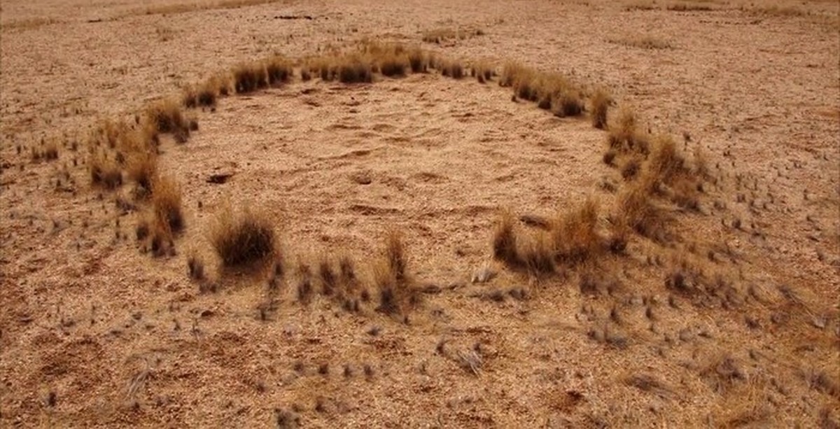 Кругом было пустынно. Ведьмины круги в Намибии. Круги в пустыне Намиб. Ведьмины круги пустыни Намиб. Пустыня Намиб загадочные круги.