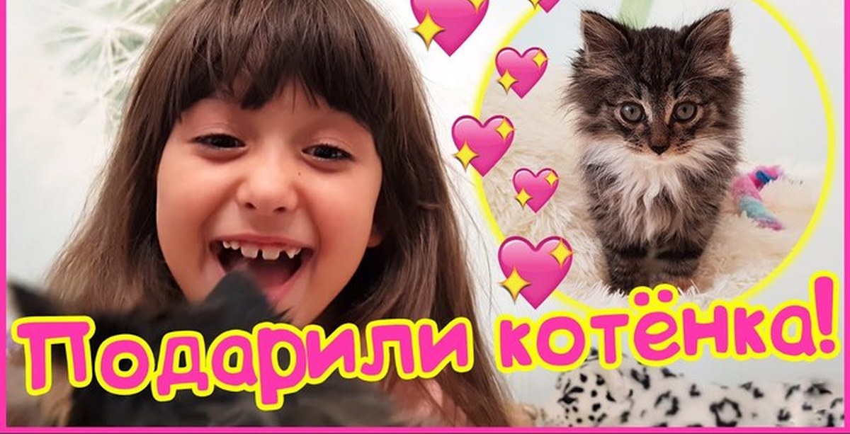 Папа и дочки и котенок лайк. Имя дочь котенка. Моя радость дочурка котенок.