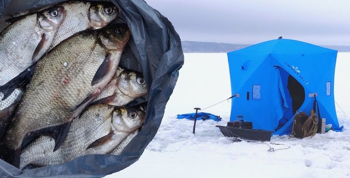 Ловля в палатке. Рыбалка зимой в палатке. Зимняя рыбалка на леща. Зимняя ловля леща в палатке. Ловля леща зимой в палатке.