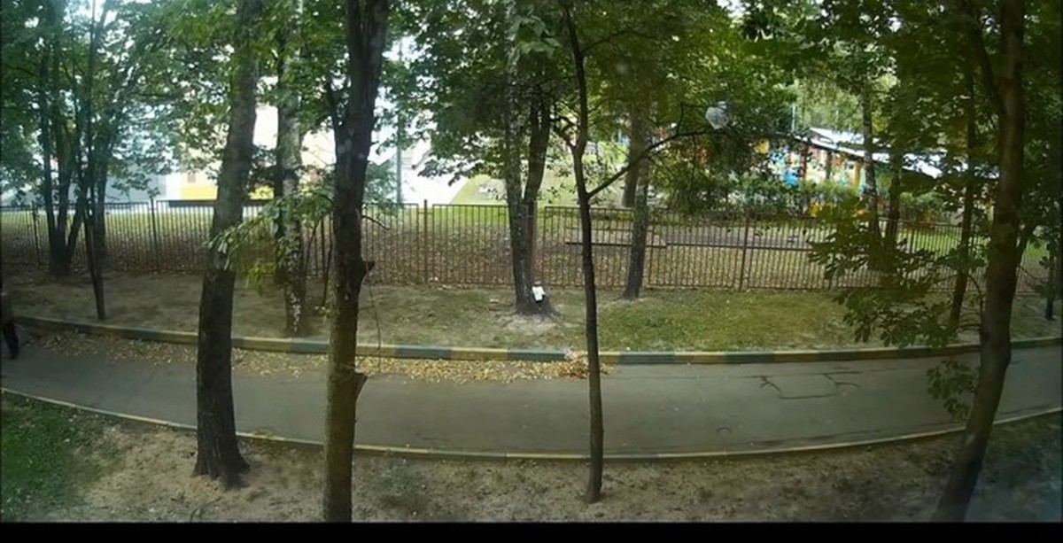 \"ГБУ Жилищник\" в Бирюлево Западное в 2019-ом в правильных цветах | Пикабу