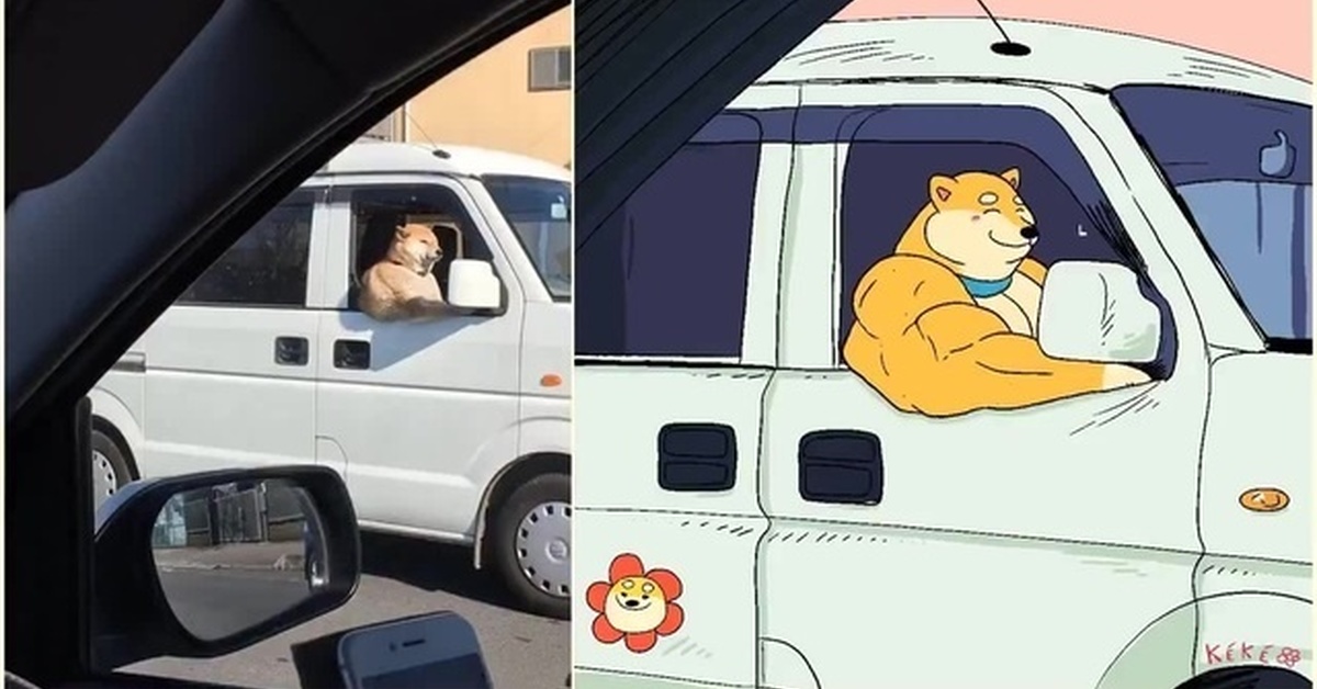 Собака в машине мем