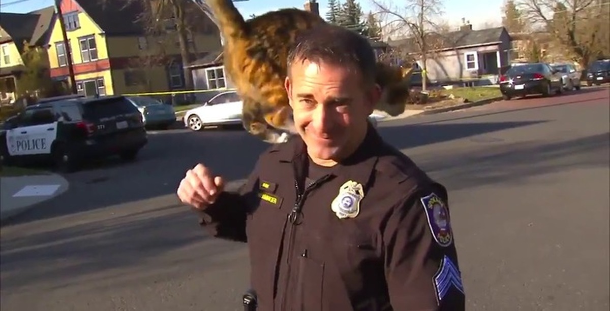 Funny Police Video Clips