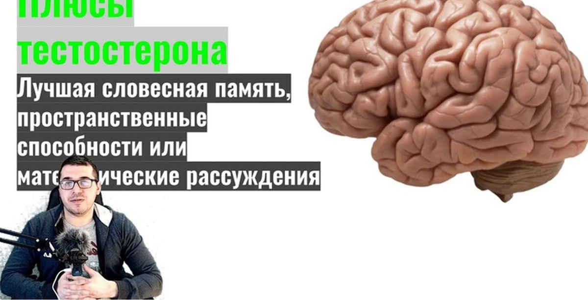 высокий тестостерон. для поднятия тестостерона. что повышает тестостерон у мужчин. тетраптерон. тестостерон в спорте.