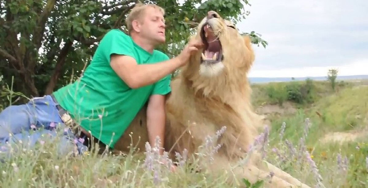 Человек-лев парк. Ютубе левы видео. Ютубе левы видео. Человек-лев парк. Ютубе левы видео.
