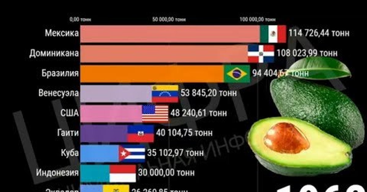 Авокадо колумбия. Страны производства авокадо. Страны производства авокадо. Производство манго по странам. Календарь с авокадо.