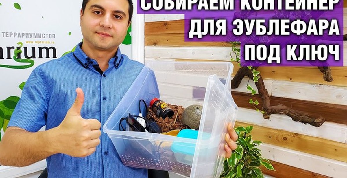 Контейнер для эублефара своими руками | Пикабу